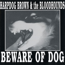 Beware Of Dog (With The Bloodhounds)