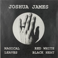 Magical Leaves Red White Black Heat