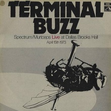 Terminal Buzz (Vinyl)