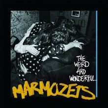 The Weird And Wonderful Marmozets