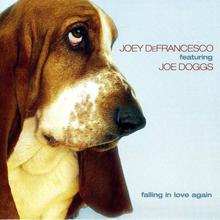 Falling In Love Again (With Joe Doggs)