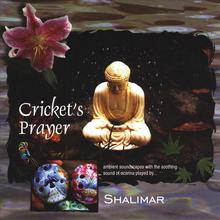 Crickets Prayer