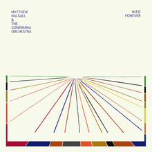Into Forever (With The Gondwana Orchestra)