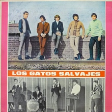 Los Gatos Salvajes (Vinyl)