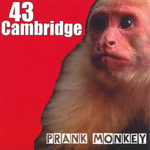 Prank Monkey