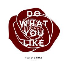 Do What You Like (CDS)