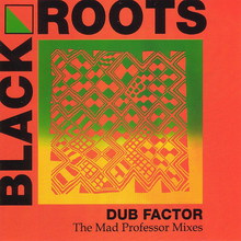Dub Factor - The Mad Professor Mixes