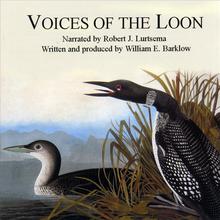 Voices of The Loon