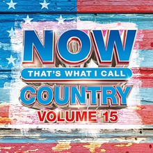 Now That's What I Call Country Vol. 15