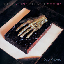 Duo Milano (& Elliott Sharp)