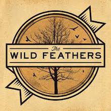 The Wild Feathers (EP)