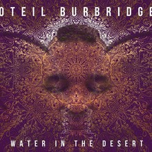Water In The Desert