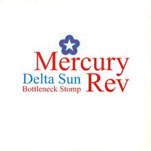 Delta Sun Bottleneck Stomp