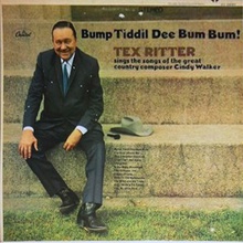 Bump Tiddill Dee Bum Bum! (Vinyl)