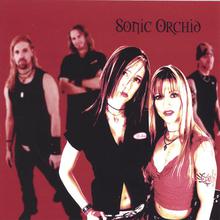 Sonic Orchid