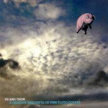 Us And Them A Delicate Saucerful Of Pink Floyd Covers