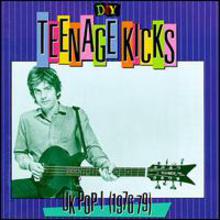 D.I.Y.: Teenage Kicks: UK Pop (1976-79)