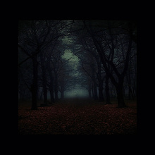 Autumn II