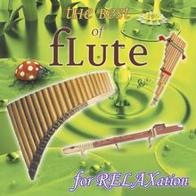 The Best Of Flute, Vol. 2: For Relaxation