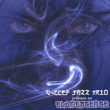 Tribute to Evanescence