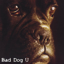 Bad Dog U
