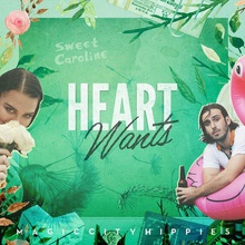 Heart Wants (CDS)