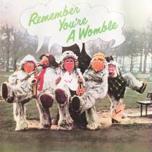 Remember You're A Womble (Vinyl)