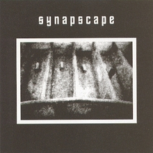 Synapscape