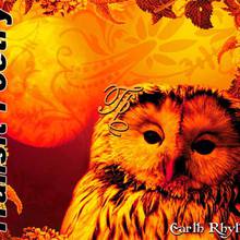 Earth Rhythm (EP)