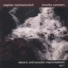 Electric and Acoustic Improvisations Vol. 1