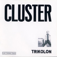 Cluster (Vinyl)