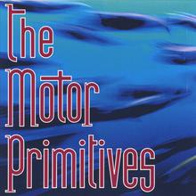 The Motor Primitives