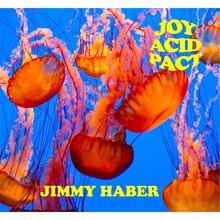 Joy Acid Pact