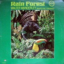 Rain Forest (Vinyl)