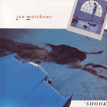 Shook (Vinyl)