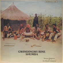 Gwindingwi Rine Shumba