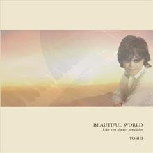 Beautiful World - Like You Always Hoped For