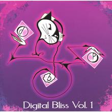 Digital Bliss Vol 1