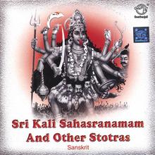 Sri Kali Sahasranamam and Other Stotras