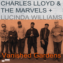 Vanished Gardens (& Lucinda Williams)