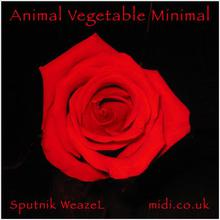 Animal Vegetable Minimal