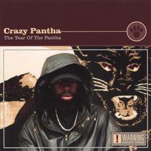 The Year Of The Pantha