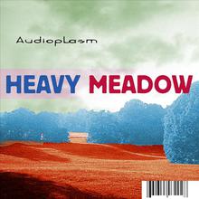 Heavy Meadow