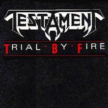Trial By Fire (VLS)