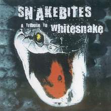 Tribute To Whitesnake
