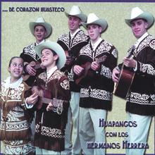 De Corazon Huasteco:  Huapangos con los Hermanos Herrera