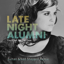 You Can Be The One (Sultan & Ned Shepard Remix) (CDS)