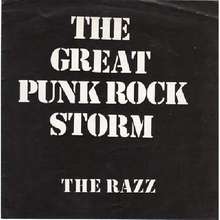 The Great Punk Rock Storm (Vinyl)
