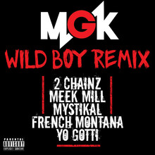 Wild Boy (Remix) (CDS)