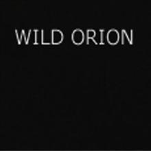 Wild Orion